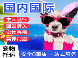 舟山普陀山机场托运国际宠物托运 【国